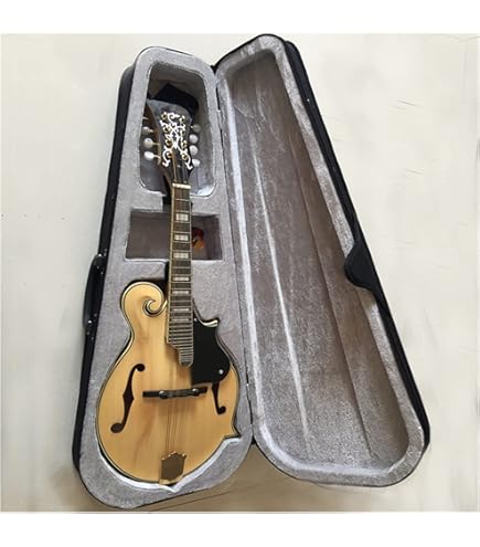 超美品】Aria AM-20 フラットマンドリン超美品 専用ハードケース 楽器