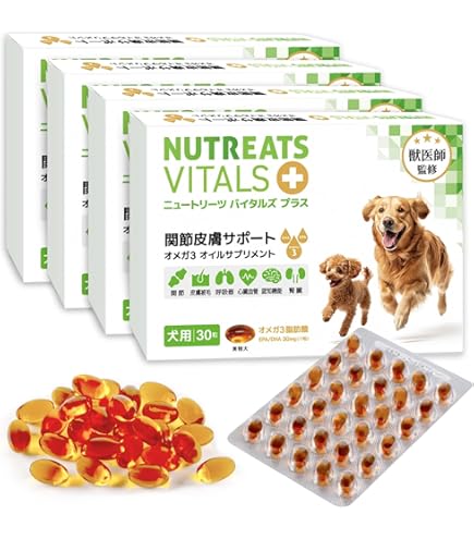 Amazon.co.jp: 共立製薬 モエギキャップ 100粒 黄色透明 : ドラッグストア