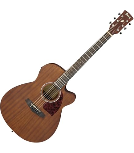 Amazon.co.jp: LAG Guitars T118DCE Eleaco Dreadnote Type with