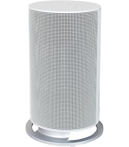 Amazon | Wiz RC-T5801ACP [LPガス] | リンナイ(Rinnai) | ガスファン