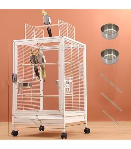 Amazon | FX-SHYQYYMZ クリアアクリル鳥かご 複数飼い大型インコ