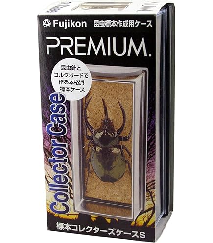 Amazon.co.jp: タイリク コーカサスオオカブト 標本 : おもちゃ
