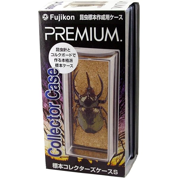 入手不可！小惑星のかけら K-T境界層（K/Pg境界）標本