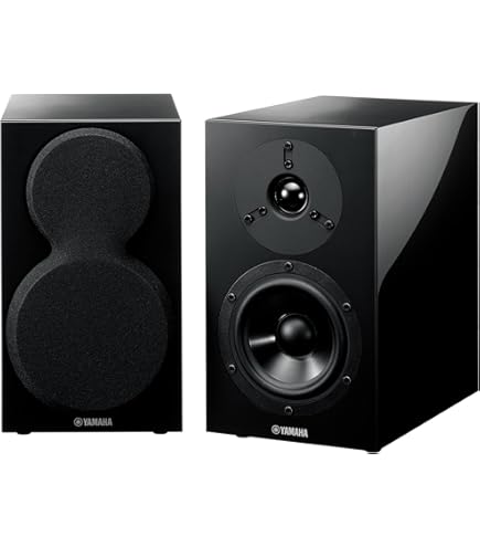 Amazon.co.jp: ヤマハ プリメインアンプ A-S301(B) 192kHz/24bit対応