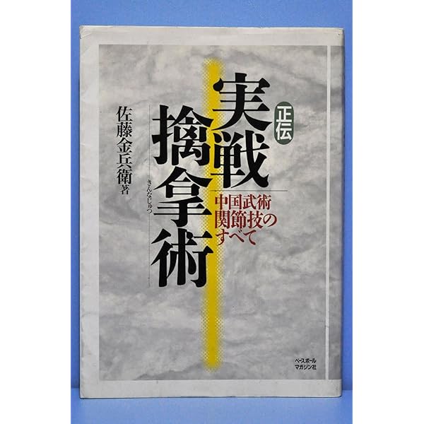 マココさん専用 内家拳 秘伝口訣 佐藤金兵衛 マココさん専用 内家拳