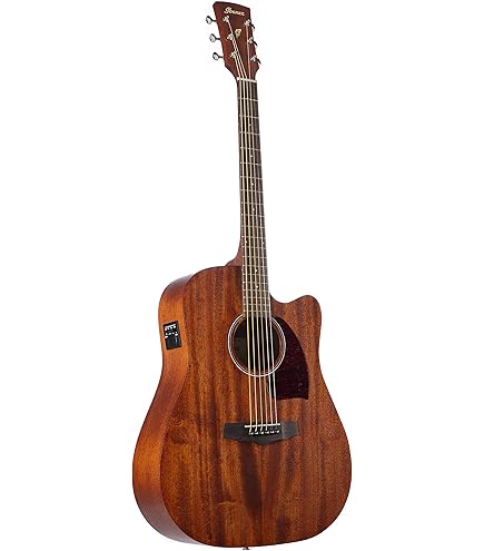 Amazon | Takamine PTU121C GBB エレアコギター 100シリーズ (タカミネ