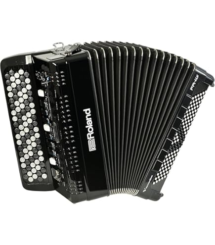 Amazon | Roland ローランド アコーディオン FR-1XB BK ブラック