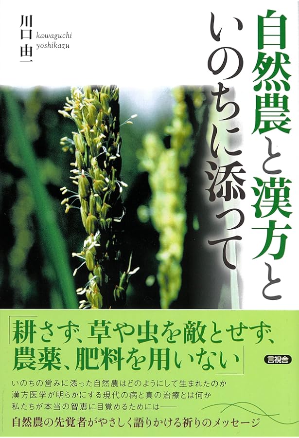 Amazon.co.jp: 叢書 古方漢方の世界 傷寒論を読む : 川口 由一: 本