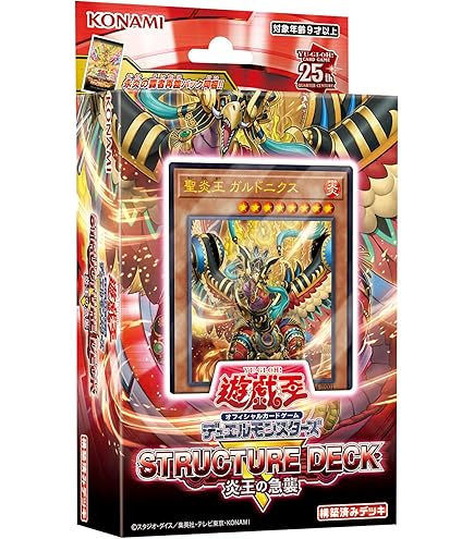 遊戯王OCG 25周年デュエリストパック 6個セット 遊戯王OCG 25周年