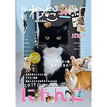 81MmHNCLD2L._AC_UL210_SR210,