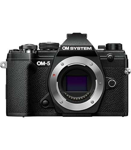 Amazon.co.jp: OLYMPUS PEN E-P2 Mirrorless Camera Lens Kit, Silver