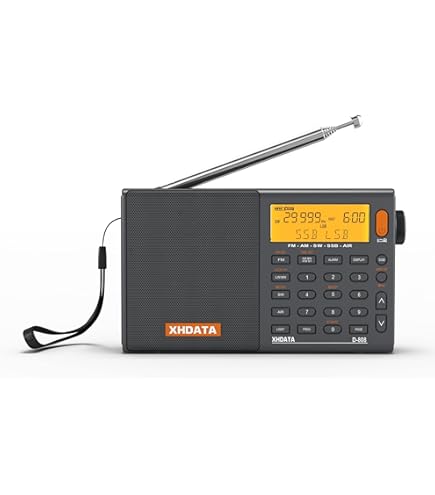 Amazon | ソニー 2V型 液晶 テレビ XDV-G200(N) | Sony | ポータブルラジオ