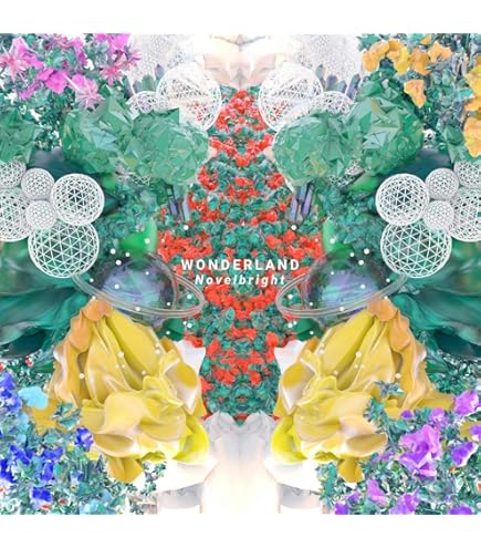 Amazon.co.jp: Tカード（Novelbright） : おもちゃ