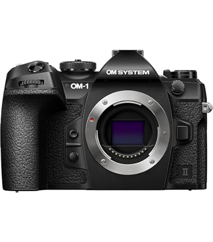 Amazon.co.jp: OLYMPUS ミラーレス一眼 OM-D E-M1 MarkII ボディー
