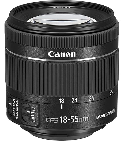 Amazon.co.jp: TAMRON 超広角ズームレンズ SP AF10-24mm F3.5-4.5 DiII
