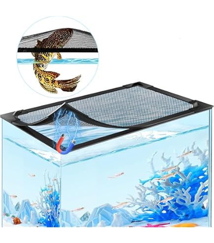 Amazon | 在庫品 ゼンスイ ZC-100α 小型循環式クーラー | ゼンスイ