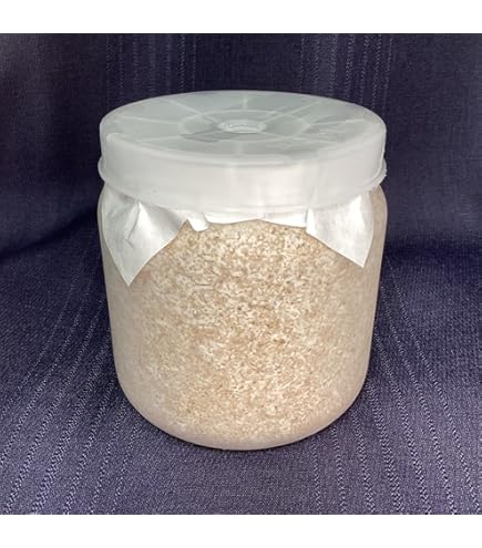 Amazon.co.jp: 【EXCEED CRAFT】LEVIN-G800H 800cc オオヒラタケ 菌糸