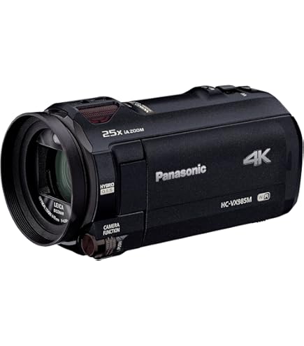 Amazon.co.jp: パナソニック デジタルハイビジョンビデオカメラ 内蔵
