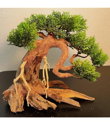 Amazon.co.jp: 【1～3日以内 発送】空洞型バニヤン盆栽流木ADA 流木