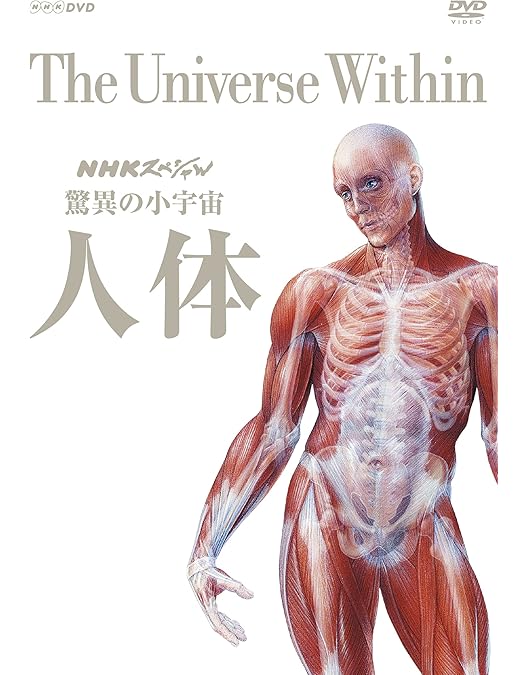 Amazon.co.jp: NHKスペシャル 人体 神秘の巨大ネットワーク DVDBOX
