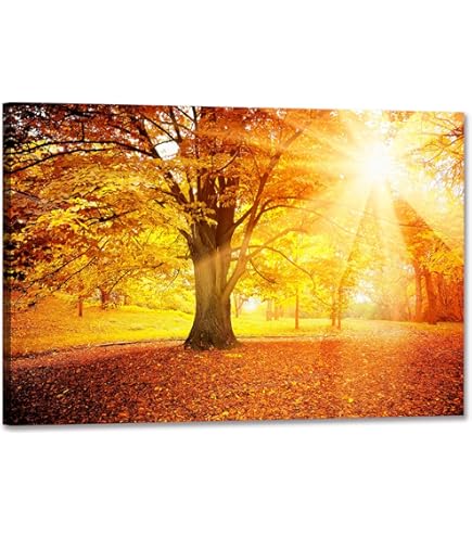 Amazon.co.jp: ヒロ・ヤマガタ 日本のエッセンス 三千院 京都 絵画