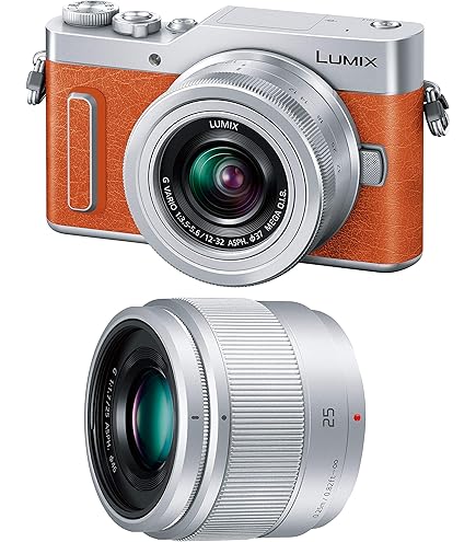 Panasonic DMC-GF1 ミラーレス一眼 7-14mmレンズ付き Panasonic DMC