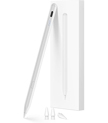 Amazon.com: Pencil for Apple iPad A16 10th Generation, Fast Charge