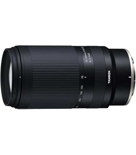 Amazon.com : TAMRON SP 70-300mm F/4-5.6 Di VC USD (Model A030