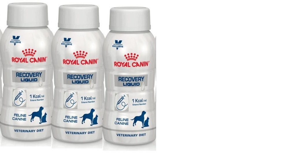 Royal Canin Liquid Recovery 2025 | www.kenyalogy.com