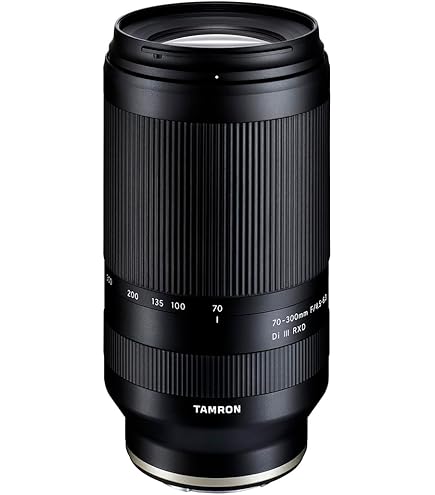 Amazon.com : Tamron 28-200 F/2.8-5.6 Di III RXD for Sony