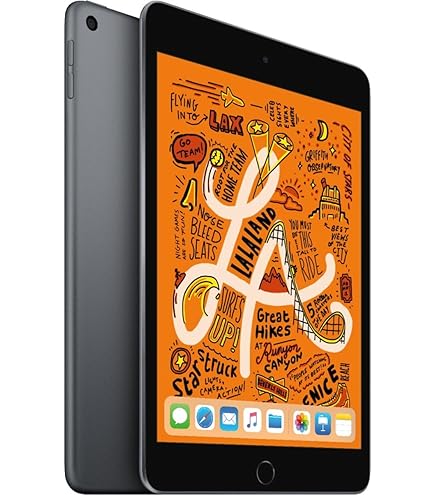 Amazon.com : Apple iPad Mini (Wi-Fi + Cellular, 256GB) - Space