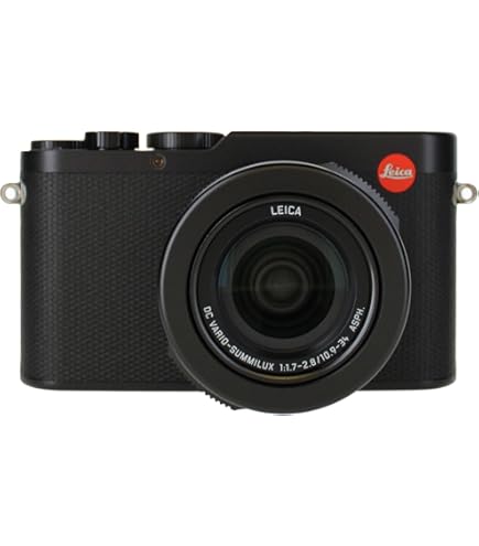 Amazon.com : Leica Q2 Digital Camera with Summilux 28mm f/1.7 ASPH