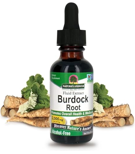 Amazon.com: Nature's Answer Astragalus Root | Promotes Overall