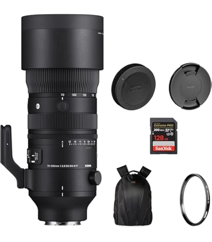 Amazon.com : Sigma 70-200mm f/2.8 APO EX DG HSM OS FLD Large