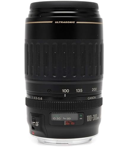 Amazon.com : Used Canon 70-300mm F4-5.6 is USM EF DO : Camera