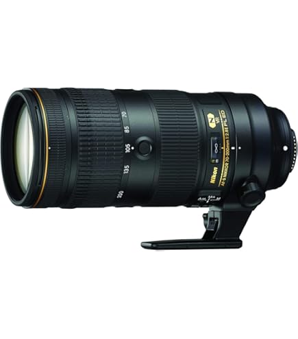Amazon.com : Tamron SP 70-200MM F/2.8 DI VC USD Telephoto Zoom