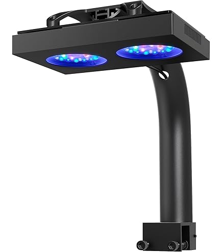 Amazon.com: Kessil Tuna Blue A80 LED Light w/ mini gooseneck : Pet