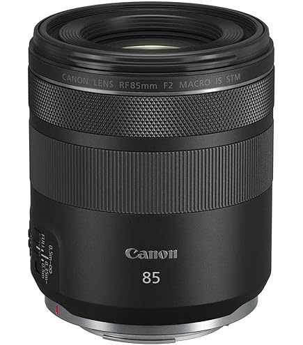 Amazon.com : Canon EF 85mm f/1.8 USM Medium Telephoto Lens for
