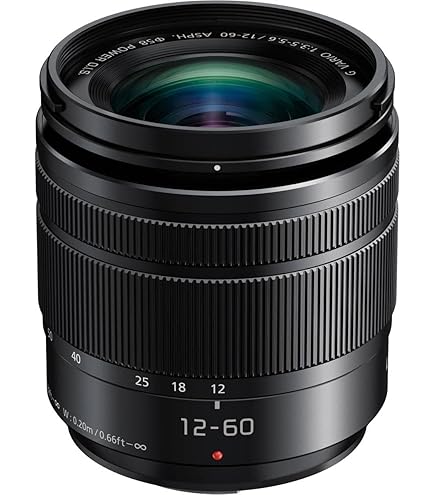 Amazon.com : Panasonic Lumix G Vario 14-140mm Telephoto Zoom Lens