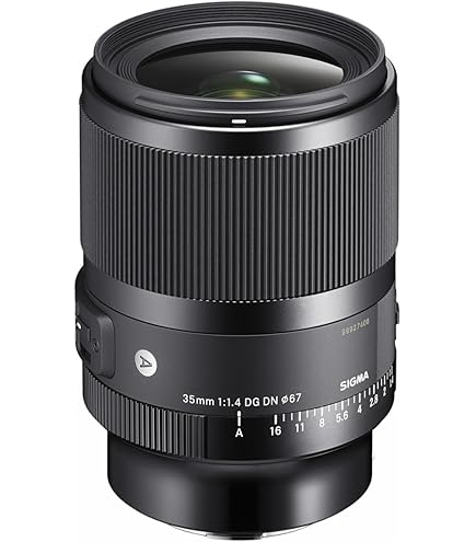 Amazon.com : Sigma 85mm F1.4 DG DN, for L-Mount : Electronics