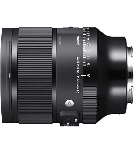Amazon.com : Sigma 24mm F1.4 Art DG DN Lens for L Mount : Electronics