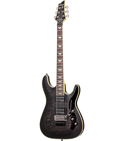 Amazon.com: Schecter 3661 Solid-Body Electric Guitar, Aged Black