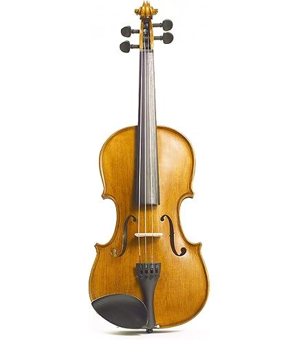 Amazon.com: Stentor 1560A Stentor Conservatoire II Violin, 4/4