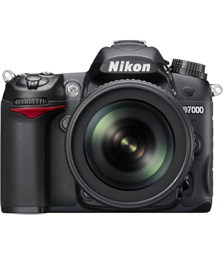 Amazon.com : Nikon D7100 24.1 MP DX-Format CMOS Digital SLR (Body