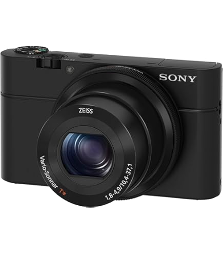 Amazon.com : Sony RX100 20.2 MP Premium Compact Digital Camera w