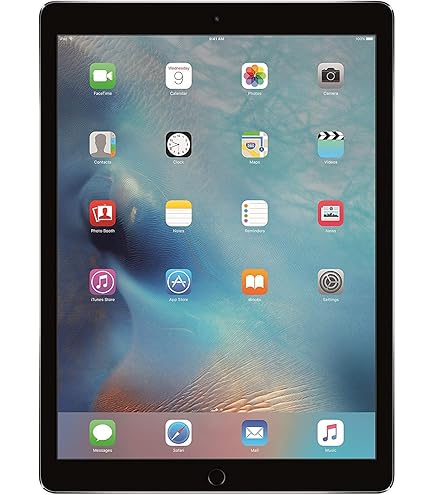 Amazon.com : Apple iPad Pro 12.9 Tablet 256GB Storage, WiFi +