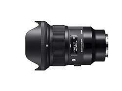 FE 24mm F1.4 GM 実写レビュー！発売前に試してみたよ。