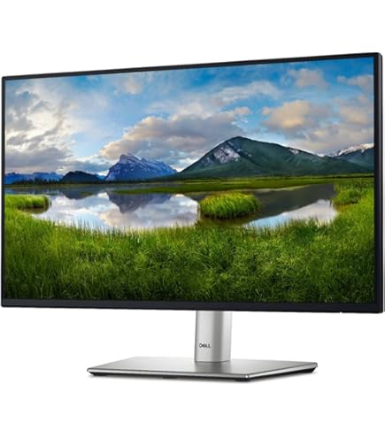 Amazon.com: Dell P2423DE 23.8