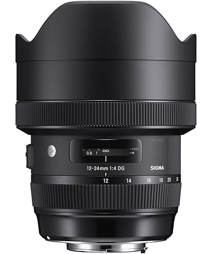 Amazon.com : Sigma 12-24mm f/4 DG HSM Art Lens for Nikon F (205955