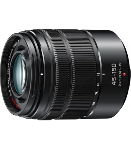 Amazon.com : Panasonic Lumix G Vario 14-140mm Telephoto Zoom Lens